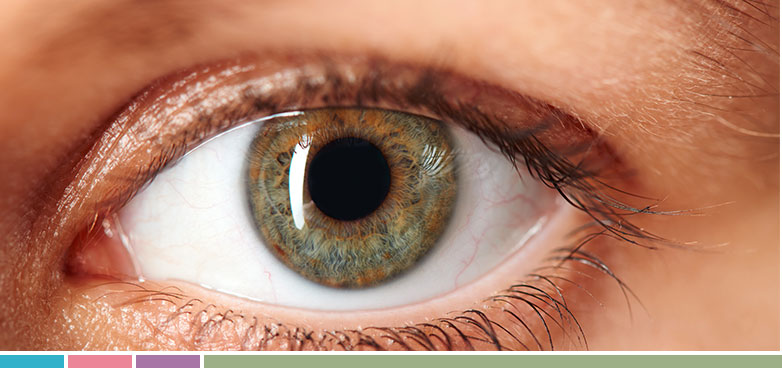 ¿Que determina el color de nuestros ojos?