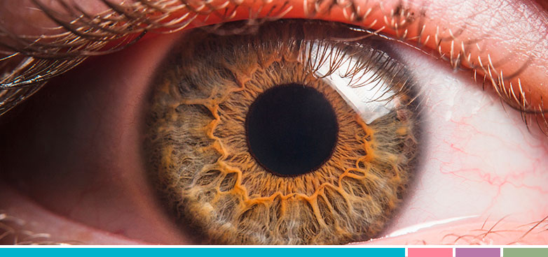 Visión ojos y